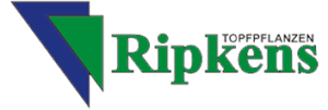 ripkens-topfpflanzen-logo